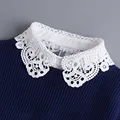 Hollow Lace Chiffon Doll Cotton Fake Collar Blouse Sweater Detachable Shirt Collar False Collar Lapel Women Top Collars Decor preview-3