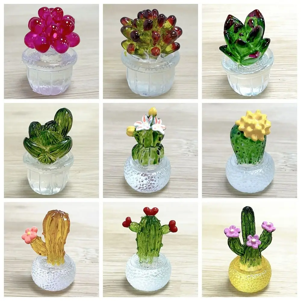 Multicolor Simulation Cactus Bonsai Fairy Garden Transparent Miniature Succulents Potted Office Home Dollhouse Decoration-animated-img