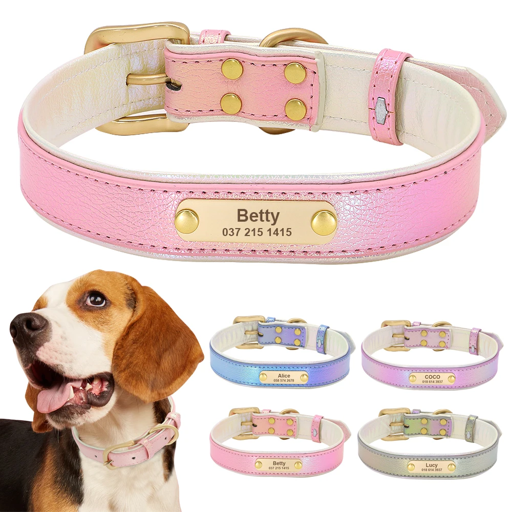 engraved cat collars