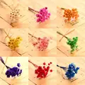 30pcs/bunch Mini Brazil Star Daisy Shooting Props Dried Flower Daisy  Artificial Flowers Bouquets Floral Wedding Decoration preview-4