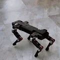 Technology Dog Electronic Dog Bionic Quadruped Intelligent Robot High-precision Sensing and Recognition preview-1