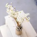 30pcs/bunch Mini Brazil Star Daisy Shooting Props Dried Flower Daisy  Artificial Flowers Bouquets Floral Wedding Decoration preview-5