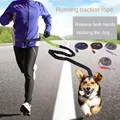 Hand Free Dog Leash for Pet Walking Running Jogging Adjustable Dog leash Waist Belt Chest Strap Traction Rope Dog Accessories