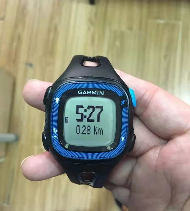 garmin 10